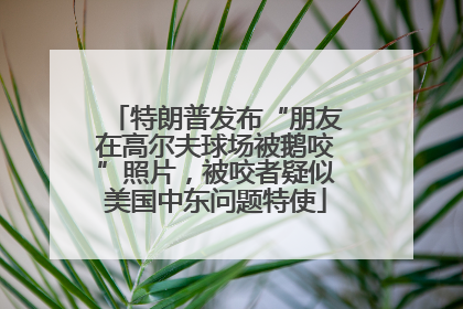 特朗普发布“朋友在高尔夫球场被鹅咬”照片，被咬者疑似美国中东问题特使